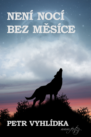 public://cover/cover_175358.jpg