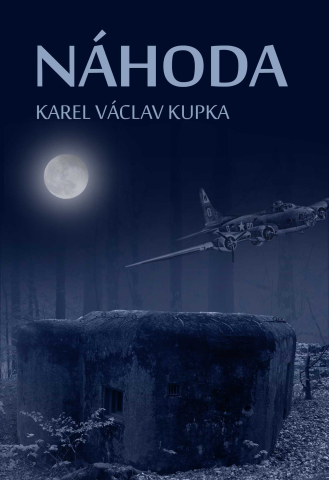 public://cover/cover_176833.jpg