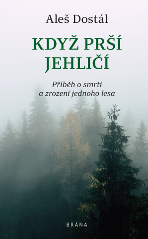 public://cover/cover_307875.jpg