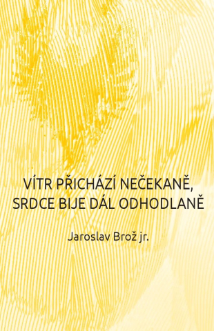 public://cover/cover_316638.jpg