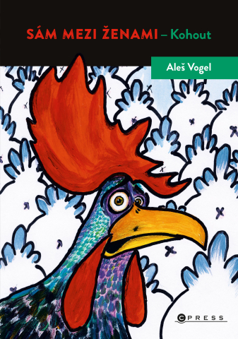 public://cover/cover_333305.jpg