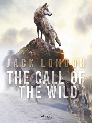 public://cover/cover_382479.jpg