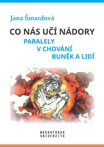 public://cover/cover_393230.jpg