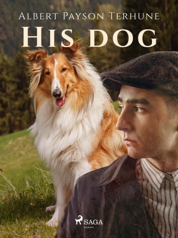 public://cover/cover_394825.jpg