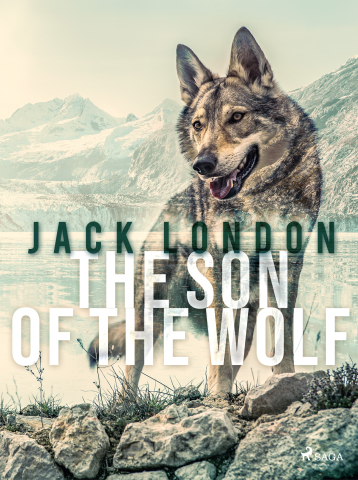 public://cover/cover_394860.jpg