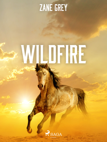 public://cover/cover_394898.jpg