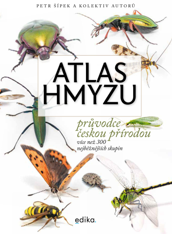 public://cover/cover_420731.jpg