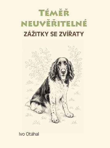 public://cover/cover_432838.jpg