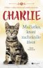 public://cover/cover_177046.jpg