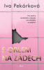 public://cover/cover_353241.jpg