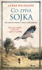 public://cover/cover_373384.jpg