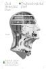 public://cover/cover_344031.jpg